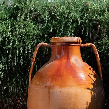 Masseria Donna Nina Casa di campagna Ostuni